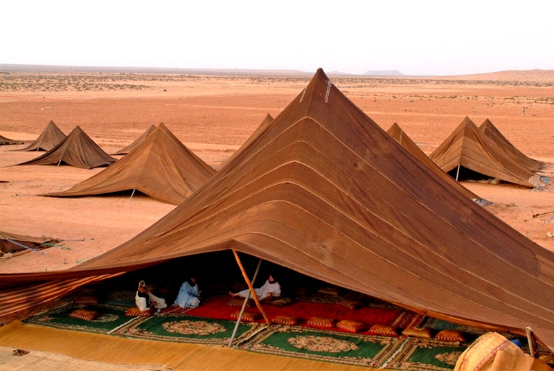 الصحـــــراوي تحت الخيمـــــــــــــة