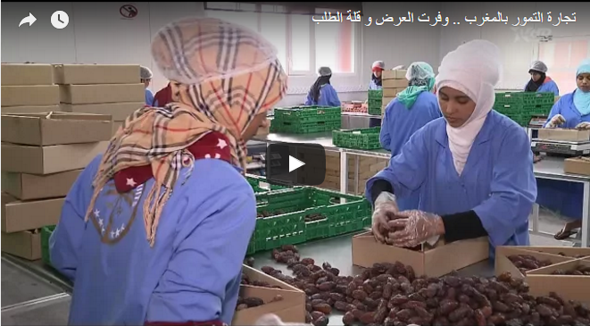 تجارة التمور بالمغــــــــــــرب