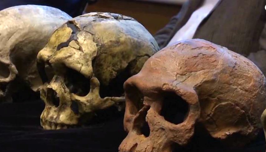 صورة الإنسان من الوشم إلى باربي إلى الإنسان القديم في كهوف المغـــــــرب