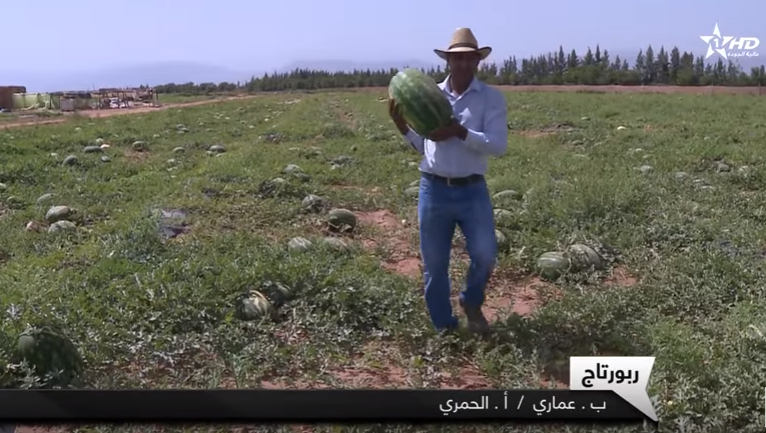 دلاح شـــيـــــشـــــــاوة