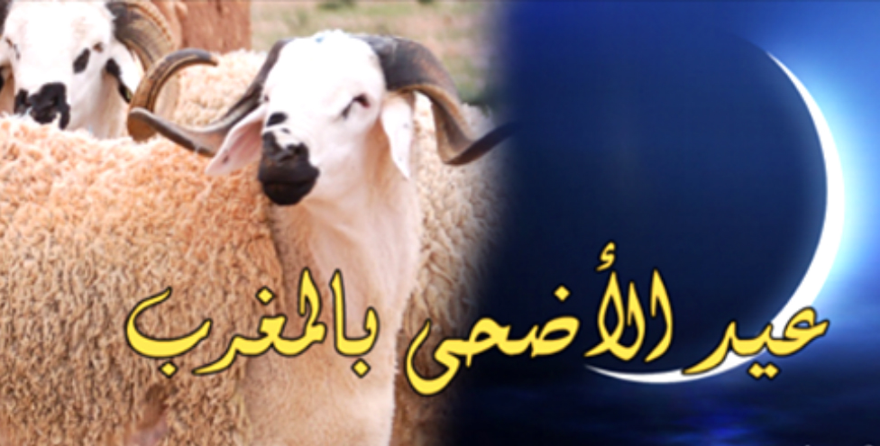 نهائي كأس الكونفدرالية الإفريقية .. الرجاء الرياضي يتوج باللقب على حساب شبيبة القبائل الجزائري