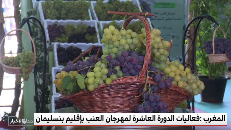 مهرجان العنب بنسليمان