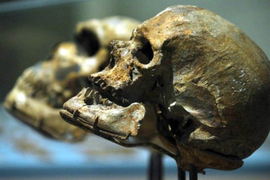 بعد اكتشاف جبل إيغـــــود … دراسة جديدة تعيد كتابة تاريخ الإنســـــــان