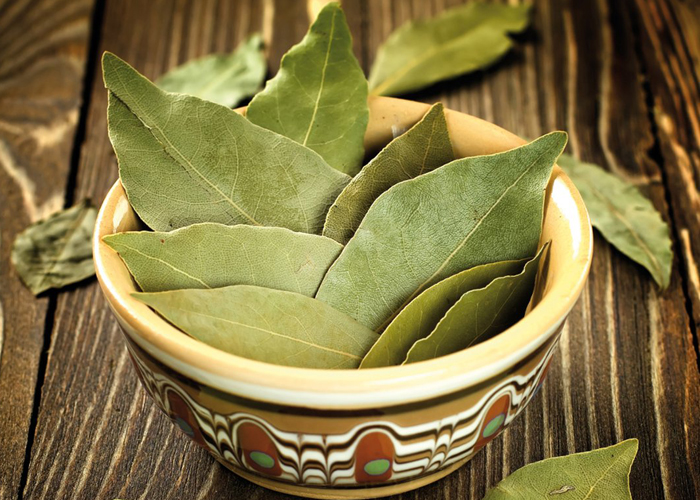 ورق الغـــــــــــــــــــــــــار يعزز نمو الشعر ويمنع تساقطه