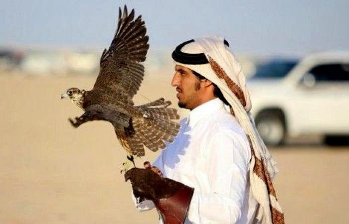 رحلات القنص بالصحراء تدفع البوليساريو إلى مهاجمة أمراء الخليج