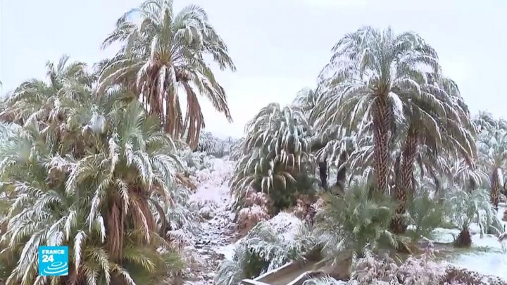 تساقط الثلوج في الصحراء