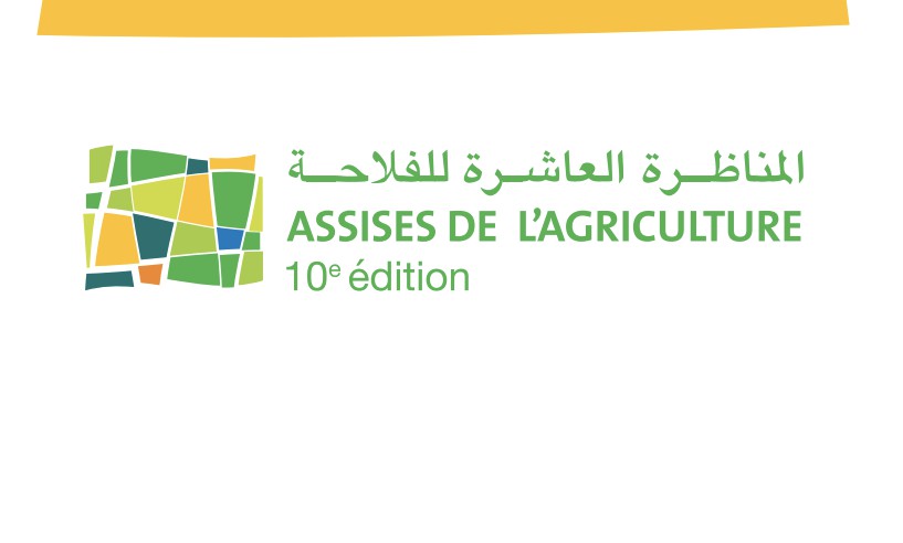 مناظرة الفلاحة بمكناس حدث مرجعي للقطاع الزراعي على المستويين الوطني والدولي