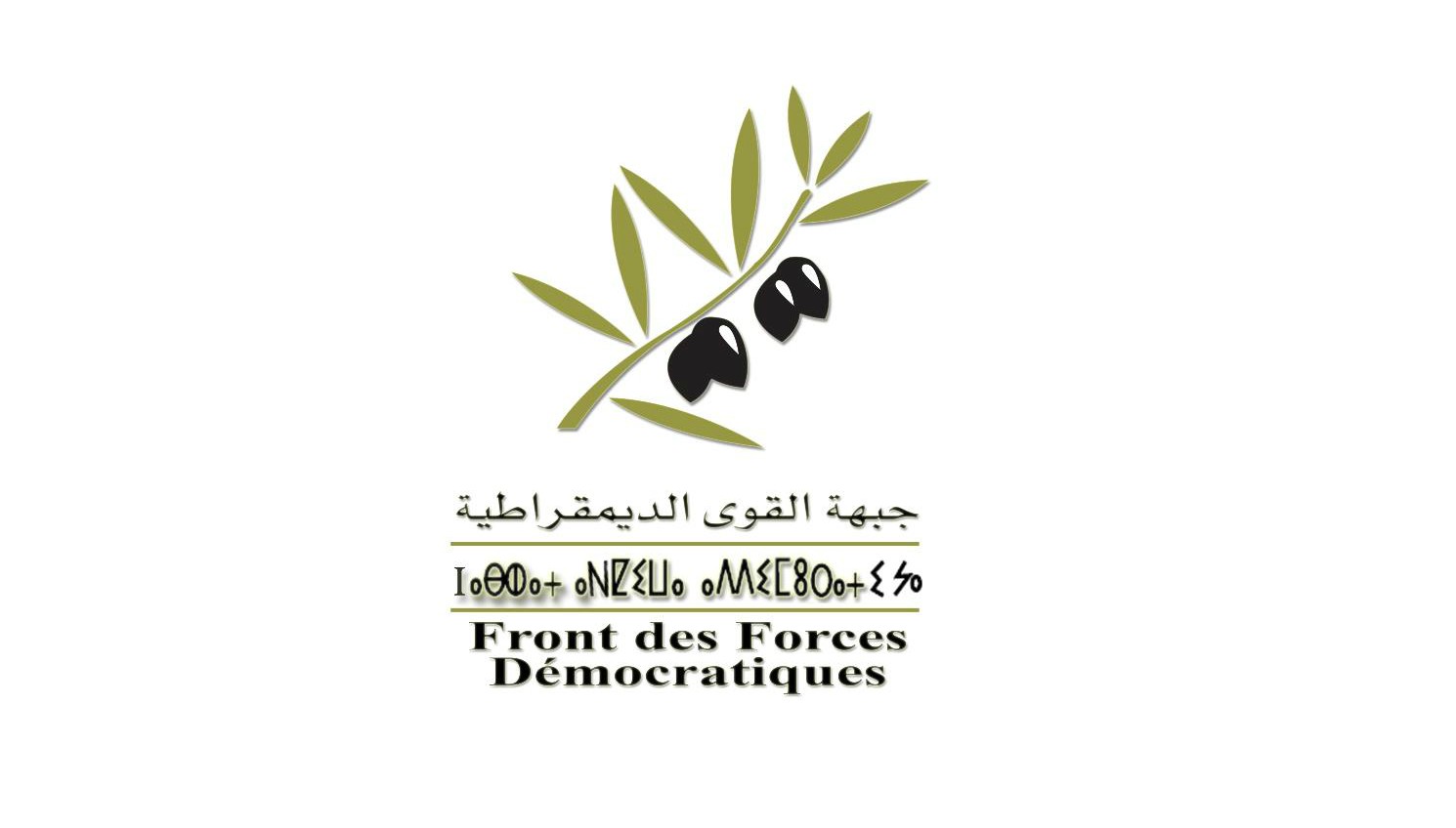 جبهة القوى الديمقراطية تدين بشدة الهجمة الإسرائيلية الشنيعة ضد العزل بقطاع غزة