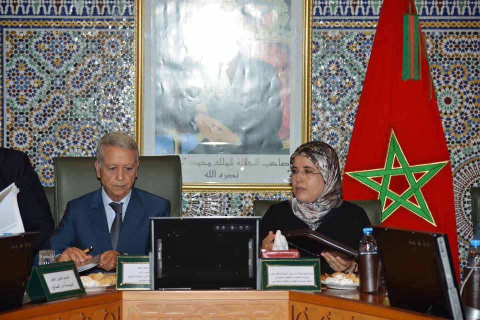 ساجد يدعو لتسويق رقمي للصناعة التقليدية المغربية في اجتماع المجلس الإداري لدار الصانع‎