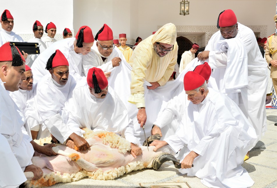 أمير المؤمنين ينحر أضحية العيد إقتداء بسنة جده المصطفى عليه أزكى الصلاة والسلام
