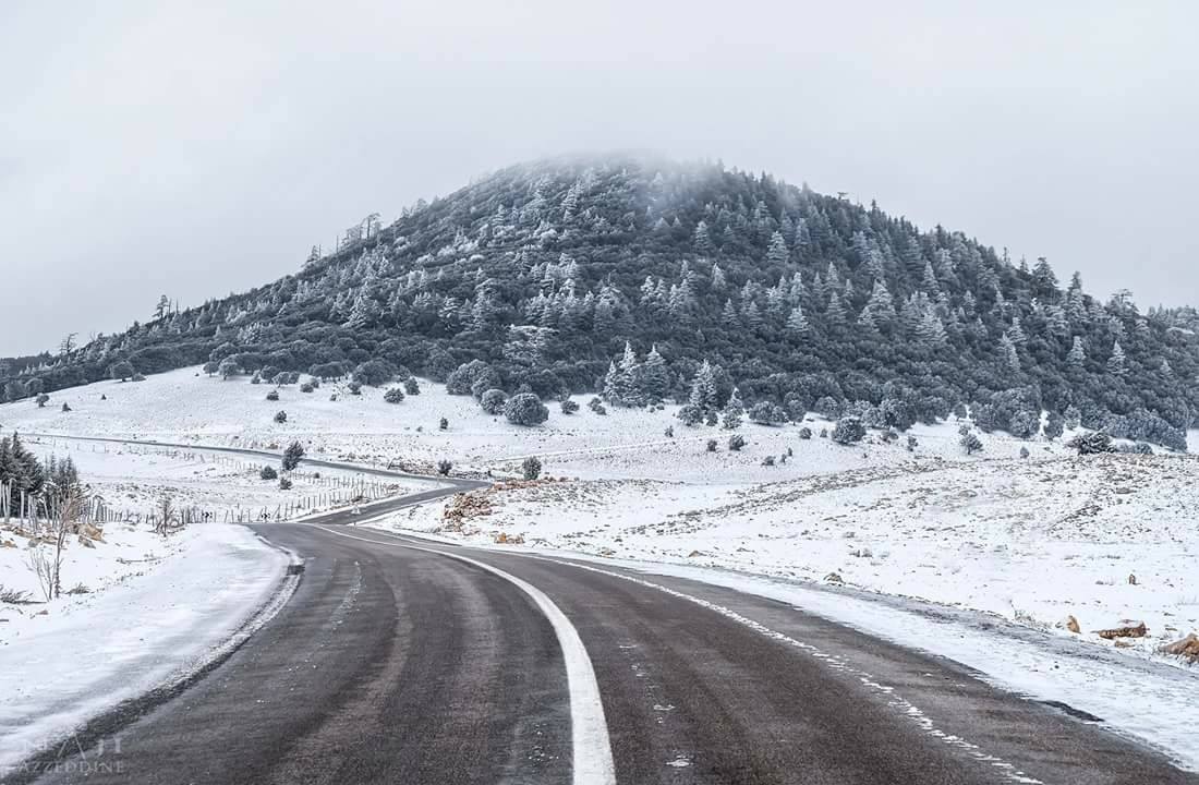 طقس بارد مع تساقطات ثلجية بهذه المناطق