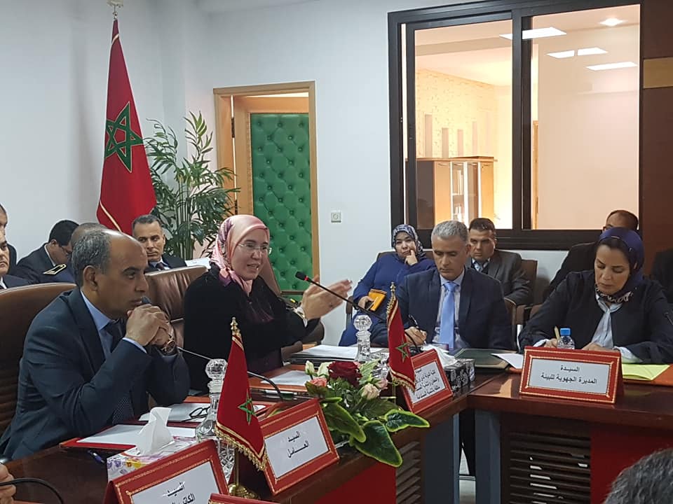 حماية البيئة التزام حاضر بقوة في استراتيجيات التنمية بالمغرب  