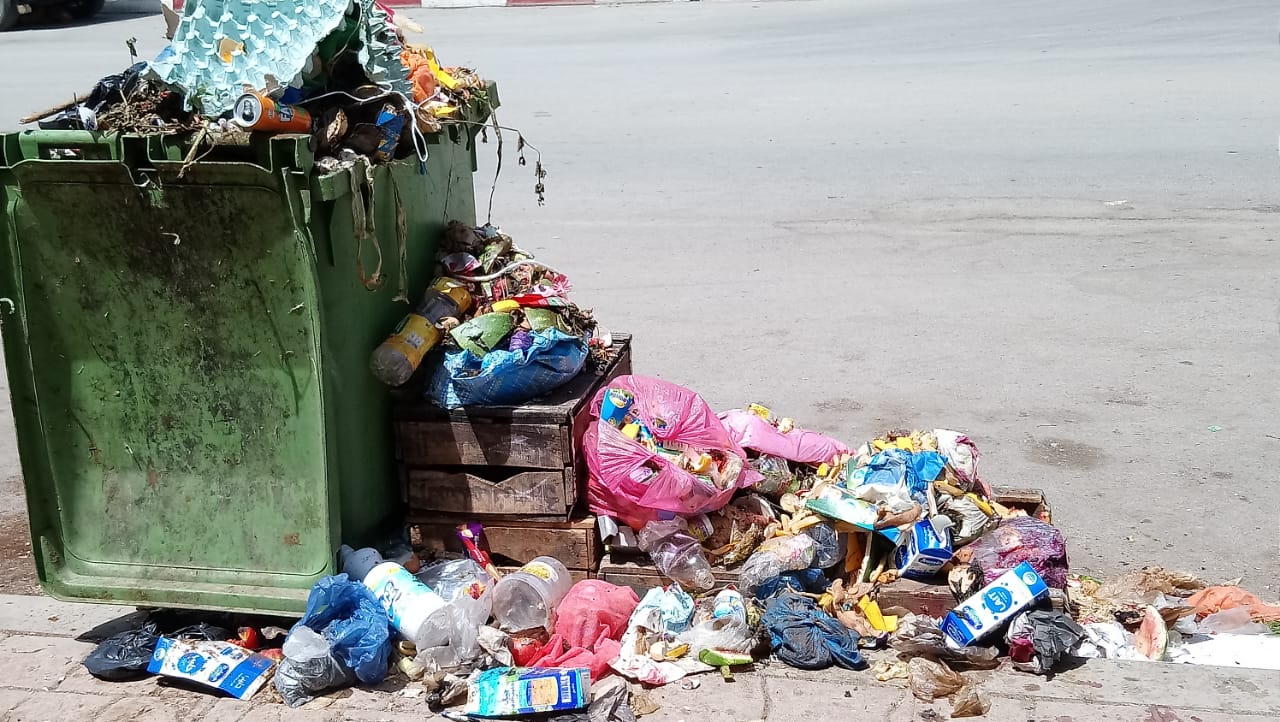 حسرة وتألم على تيسة أم الخيول