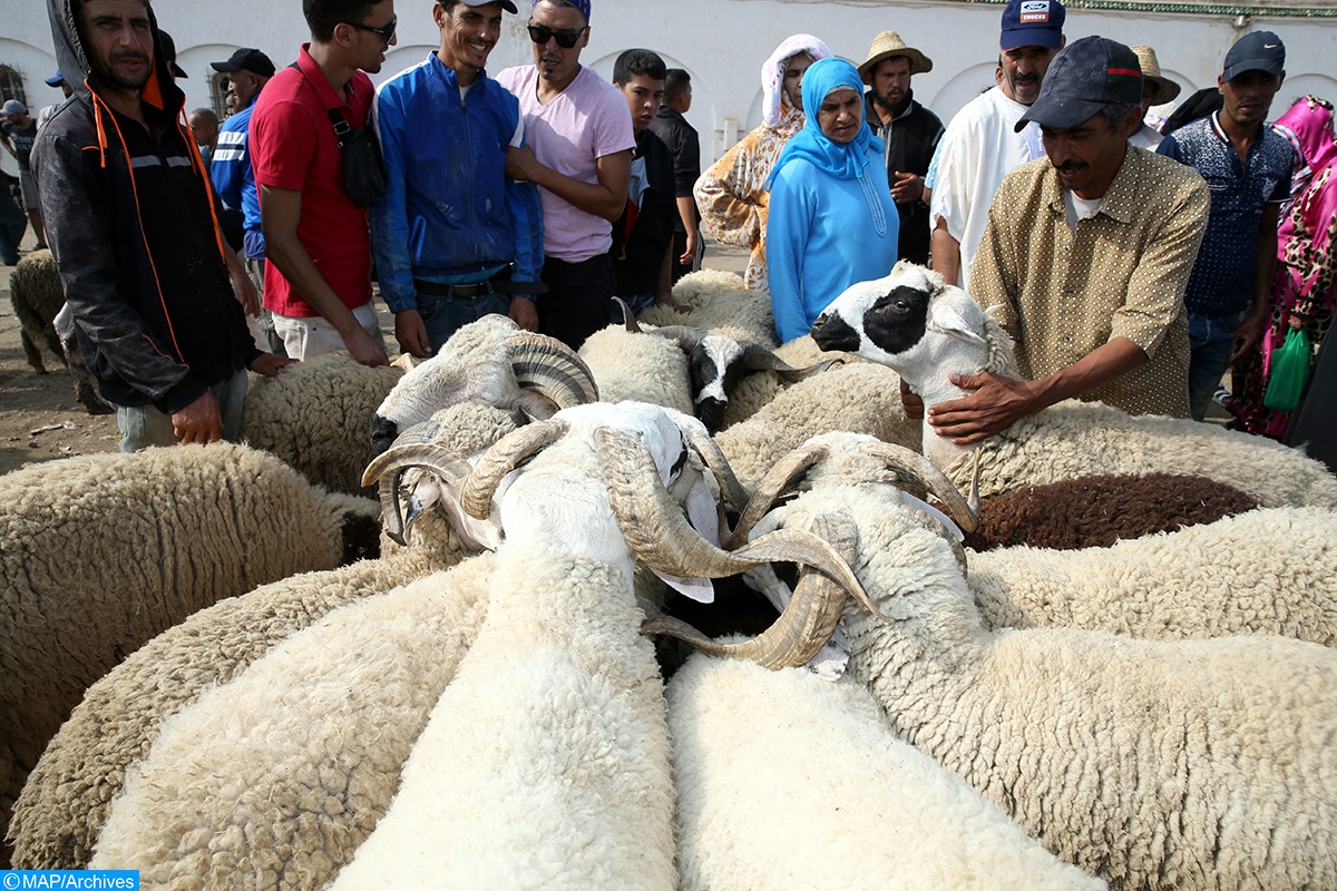عيد الأضحى المبارك 1440 .. العرض من القطيع يتجاوز الطلب بأكثر من 40 في المائة