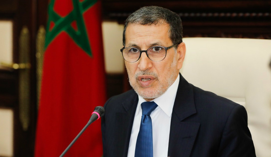 العثماني .. تعديل القانون المتعلق بمنتجات حماية النباتات يروم الحفاظ على صحة المواطنين