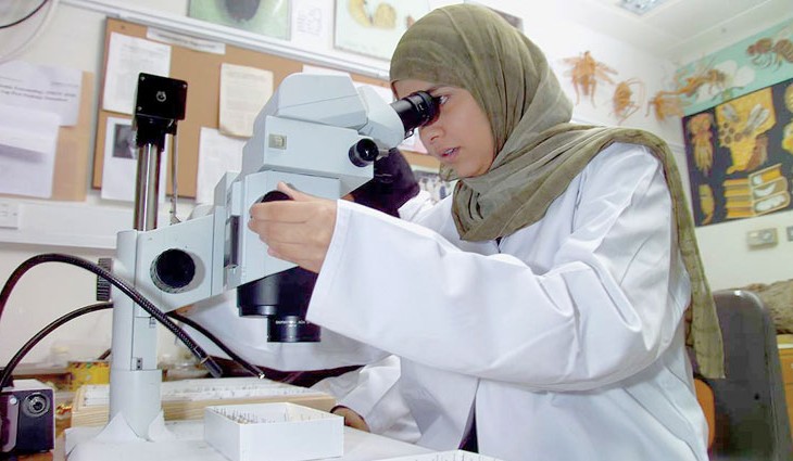 التمكين الاقتصادي للمرأة تحت الضوء في زمن كوفيد 19