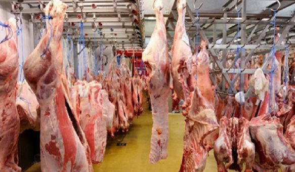 غياب المراقبة البيطرية و تفشي الذبيحة السرية ترهب ساكنة الفقيه بن صالح وفعاليات تطالب الجهات المسؤولة بالتدخل العاجل