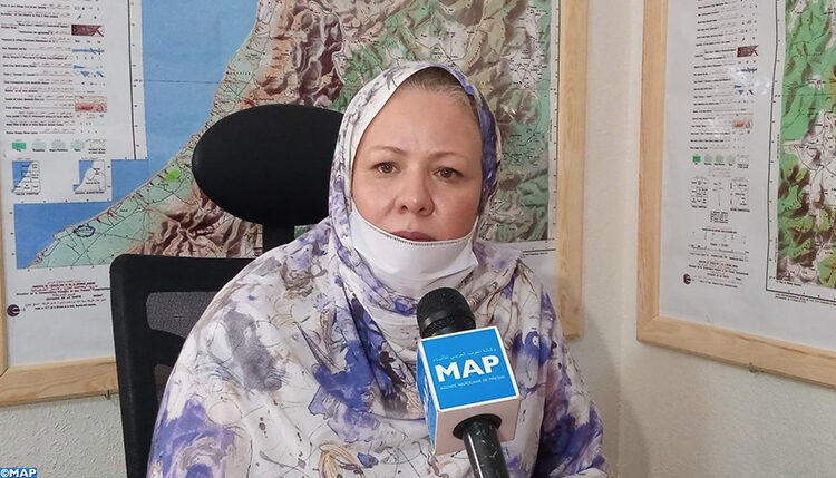 الحشرة القرمزية لنبات الصبار بجهة كلميم واد نون .. “الوضع مسيطر عليه”