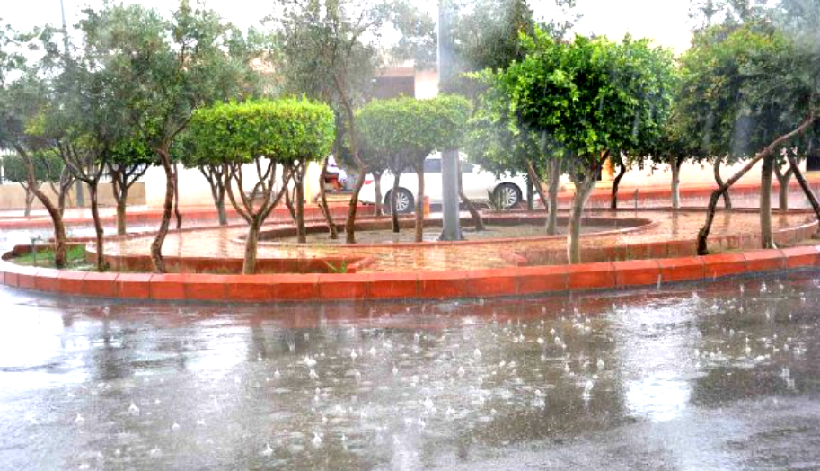 طقس السبت .. ممطر مع نزول تساقطات ثلجية