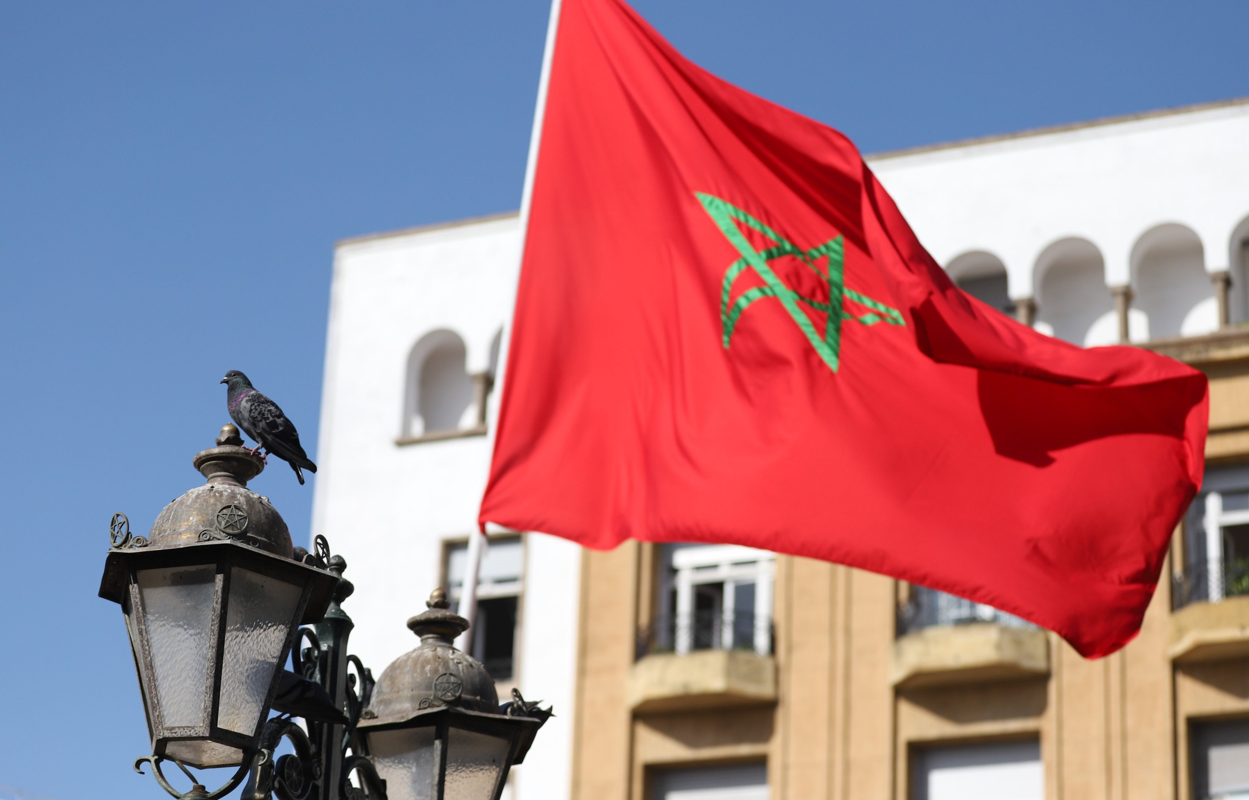 تطوير قطاع النقل .. المنتدى الدولي للنقل يشيد بجهود المغرب