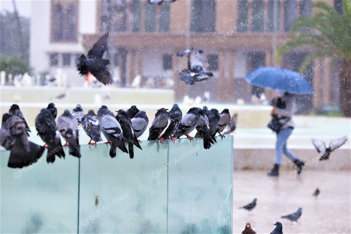 طقس الاثنين .. سماء غائمة مع أمطار رعدية في هذه المناطق