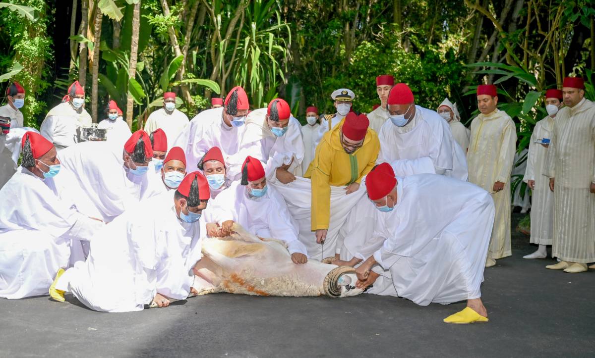 أمير المؤمنين حفظه الله ينحر أضحية العيد إقتداء بسنة جده المصطفى عليه أزكى الصلاة والسلام