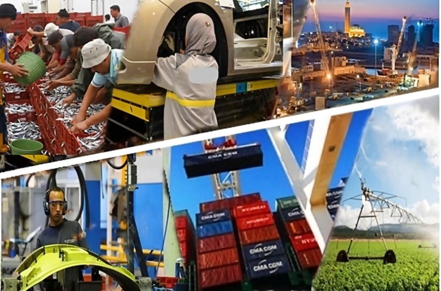 شبكة الكفاءات الطبية لمغاربة العالم تجدد التزامها بالمساهمة في إضفاء دينامية متجددة على الاقتصاد الوطني