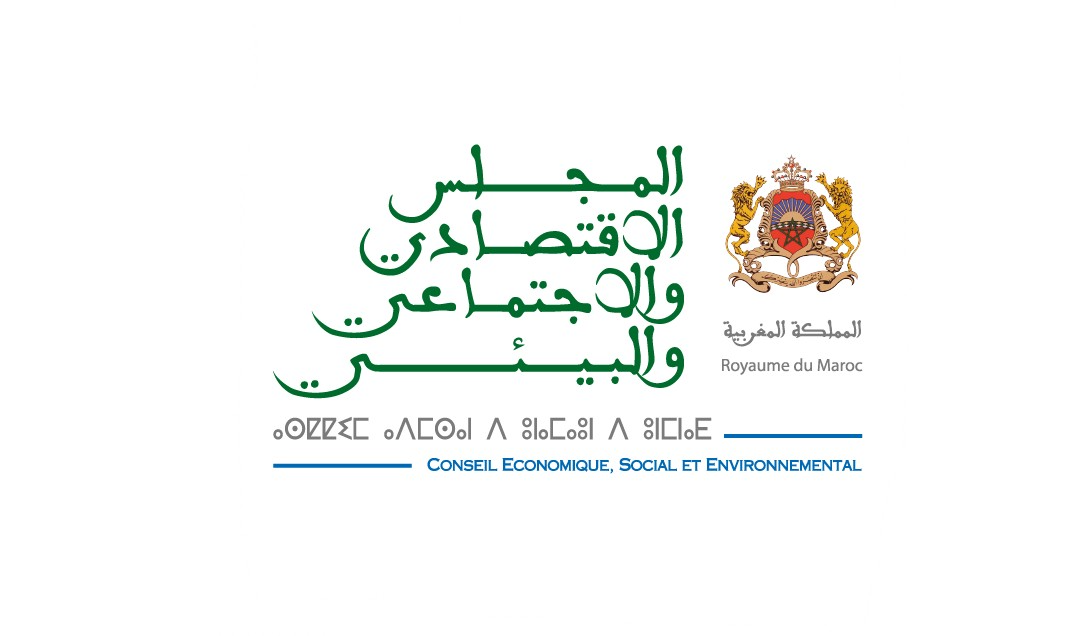 المجلس الاقتصادي والاجتماعي والبيئي يطلق استشارة مواطنة مع مغاربة العالم
