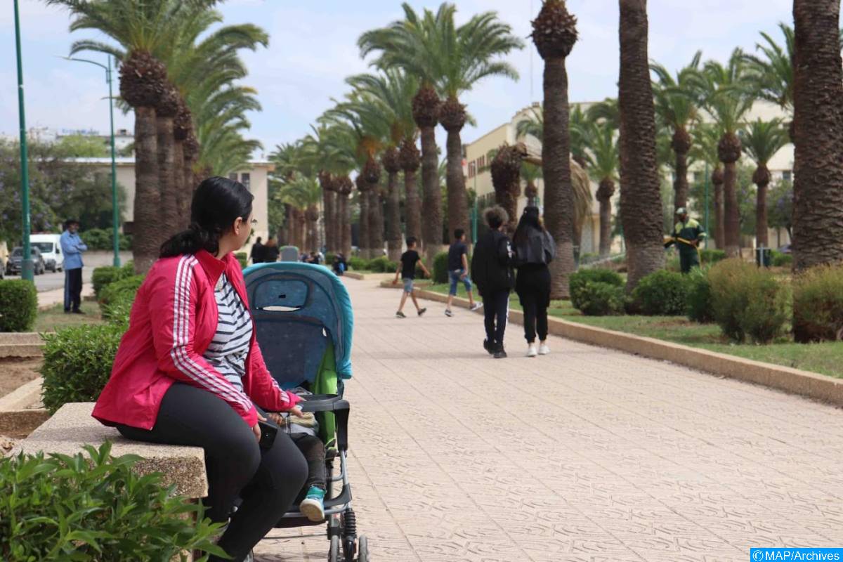 في إيجاد الأسواق الجديدة ومكافحة الإرهاب أفريقيــــــا مجال هام للعـــــرب