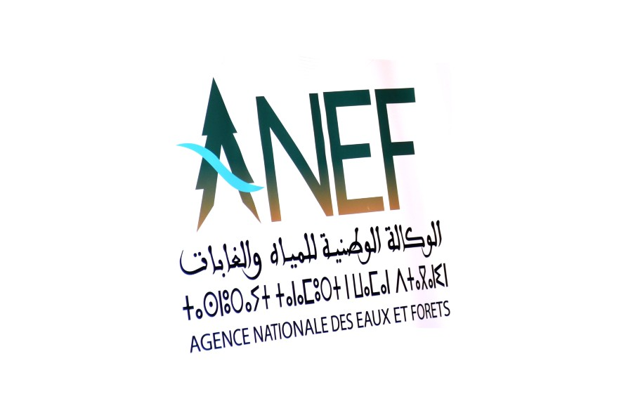 الرؤية الجديدة للوكالة الوطنية للمياه والغابات تهدف إلى التوفيق بين التنمية الاجتماعية والاقتصادية للساكنة المحلية والحفاظ على الموارد الغابوية