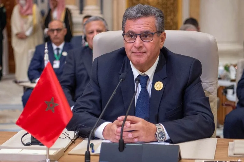رئيس الحكومة .. المغرب انخرط في منظومة للتصنيع لضمان مخزون استراتيجي في المجال الصحي