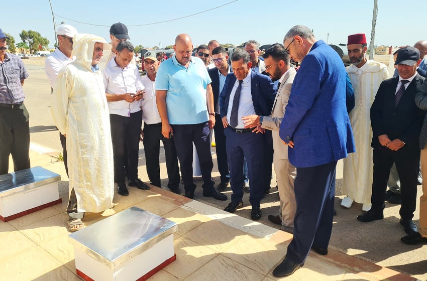 جرسيف .. أنشطة متنوعة تخليدا لذكرى ثورة الملك والشعب وعيد الشباب