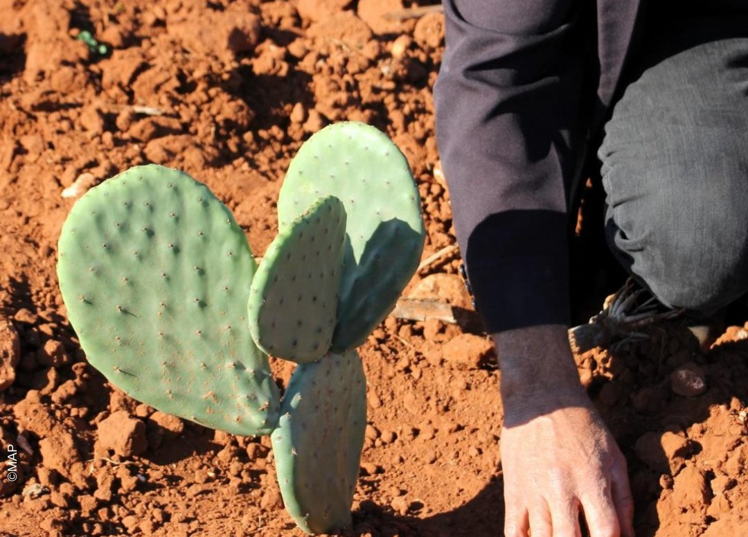 شيك السعادة … إبتكار إماراتي لمكافأة الموظف المتفاني