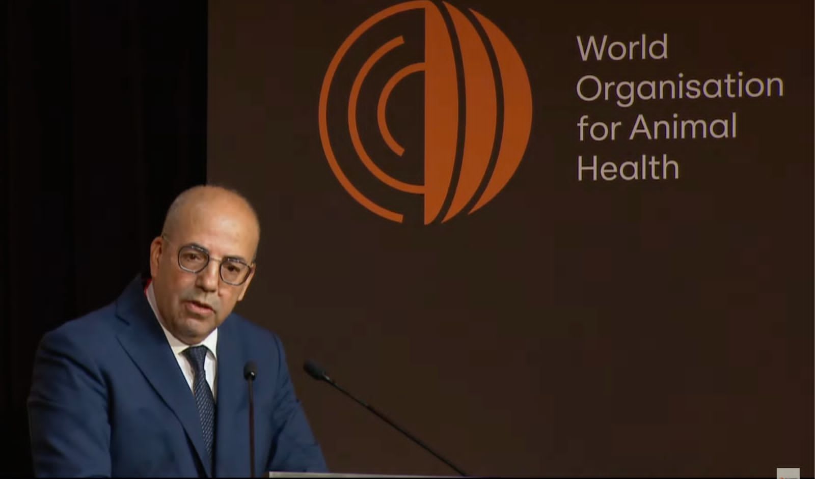 باريس .. المغرب يدعو إلى تعزيز العمل الجماعي من أجل الصحة الحيوانية
