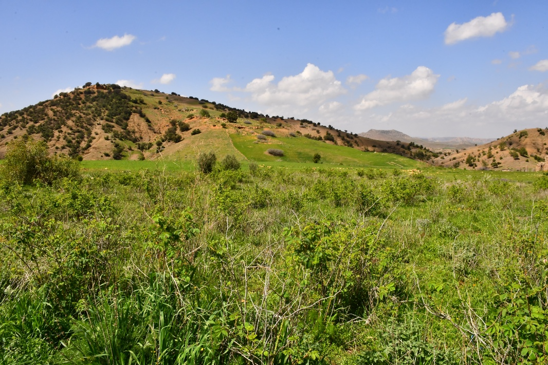 توقعات أحوال الطقس اليوم الثلاثاء