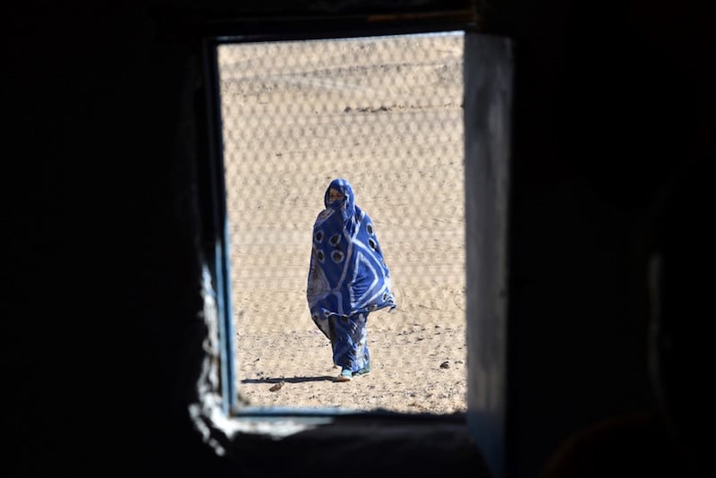 محلل أمريكي يدعو إلى إغلاق مخيمات تندوف وإنهاء احتجاز الصحراويين