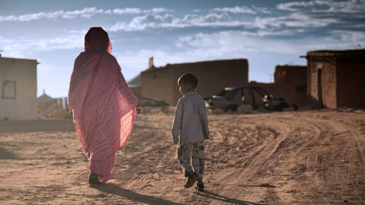 مخيمات تندوف .. عرض معاناة الطفل مولود المحجوب أمام مجلس حقوق الإنسان بجنيف