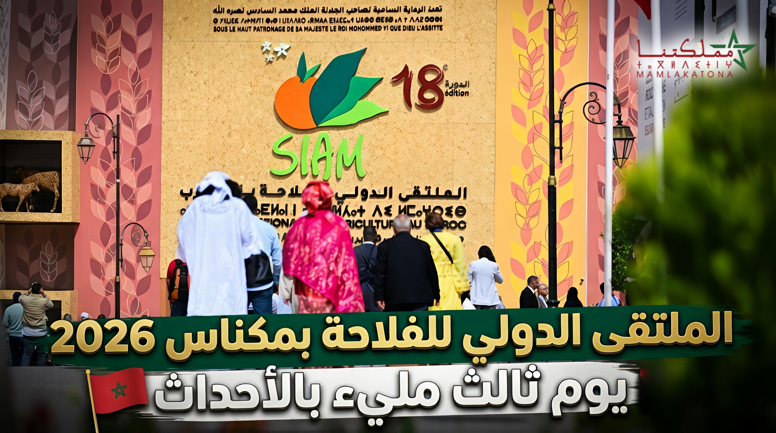 الملتقى الدولي للفلاحة بمكناس 2026 .. يوم ثالث مليء بالأحداث