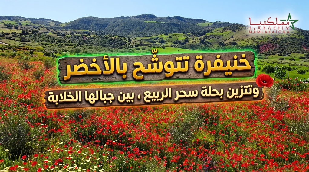 خنيفرة تتوشّح بالأخضر ، وتتزين بحلة سحر الربيع ، بين جبالها الخلابة