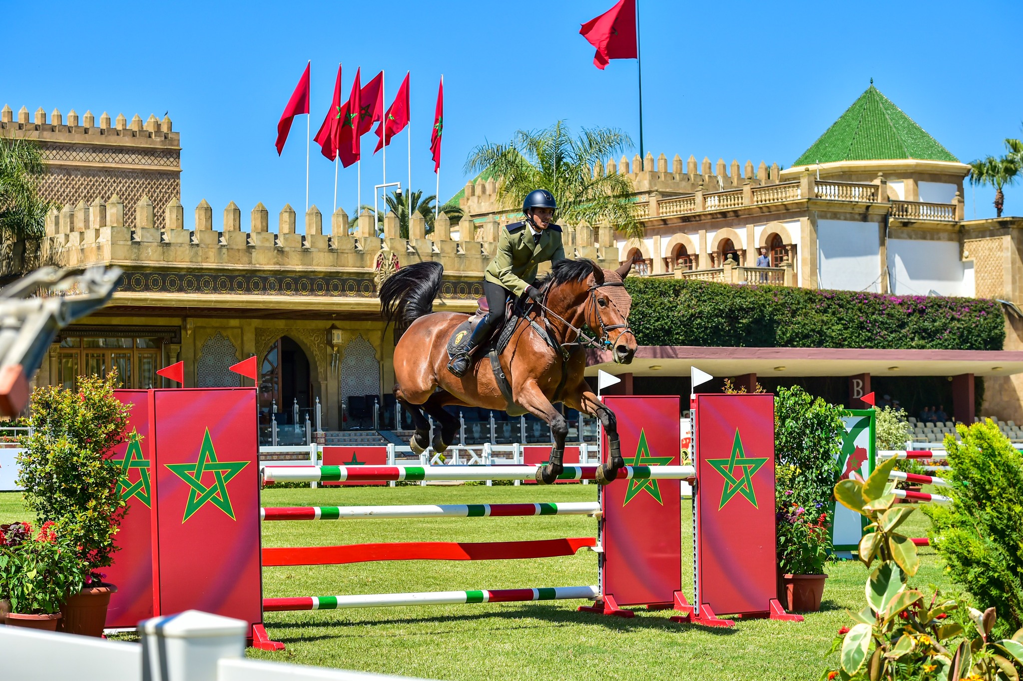 الرباط .. انطلاق منافسات المباراة الرسمية للحرس الملكي في القفز على الحواجز أربع نجوم