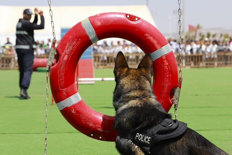 الأمن المغربي يكون متدربين من مالي