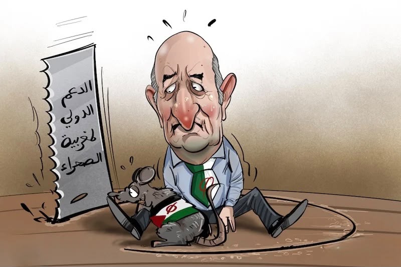 الإجماع الدولي حول الحكم الذاتي يفضح ازدواجية هياكل الأمم المتحدة